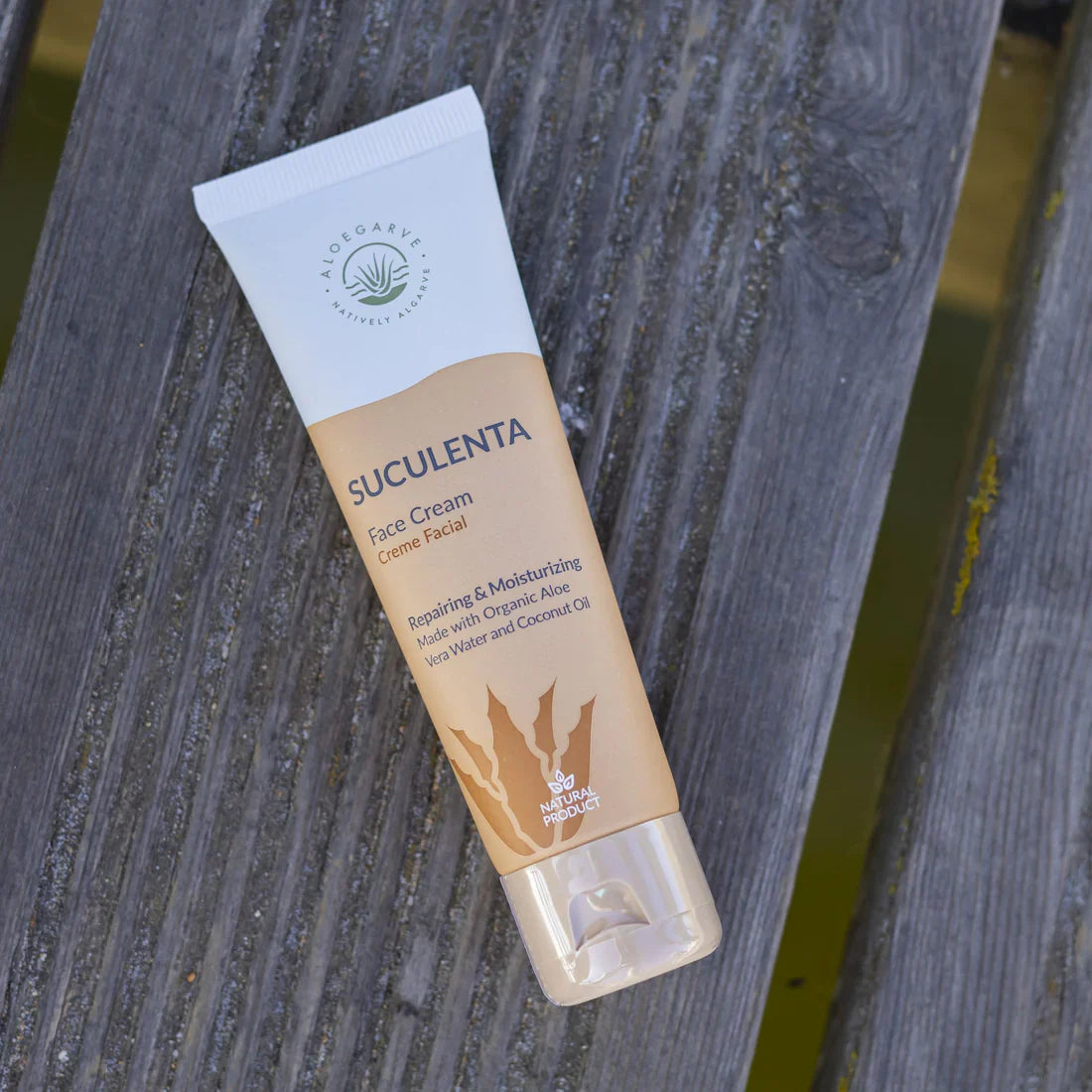 Creme Perfeição Aloe Vera "Suculenta" 50ml - Aloegarve