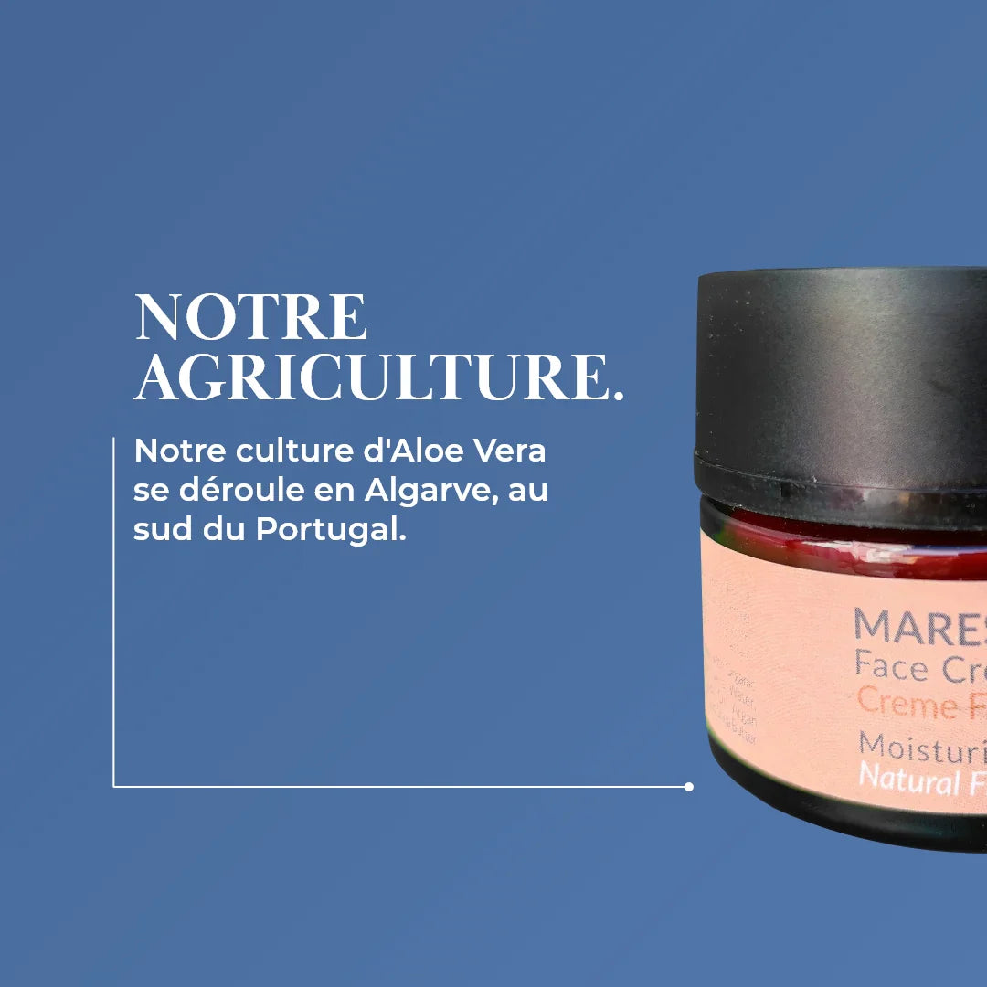 Creme Facial Antienvelhecimento e Iluminador Aloe Vera "Maresia" 50 ml - Aloegarve