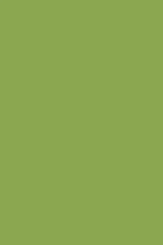Halal Breathable Nail Polish B10 Vert - 10,5ml - Andreia Professional