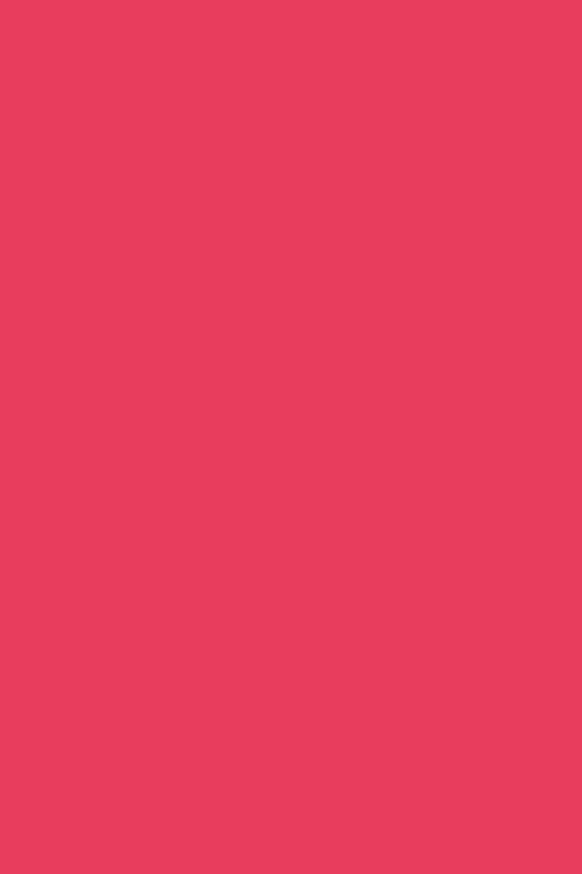 Nutricolor NC14 Rosa - 10,5ml - Andreia Professional