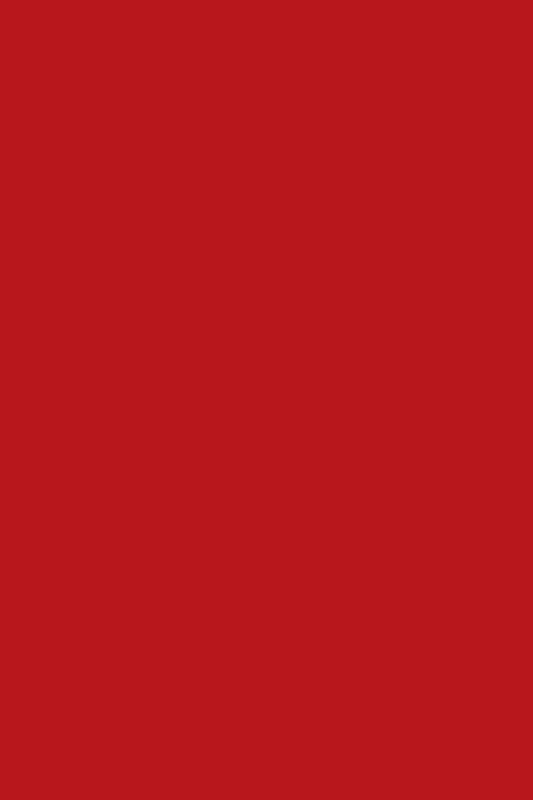 Nutricolor NC38 Vermelho Escarlate - 10,5ml - Andreia Professional