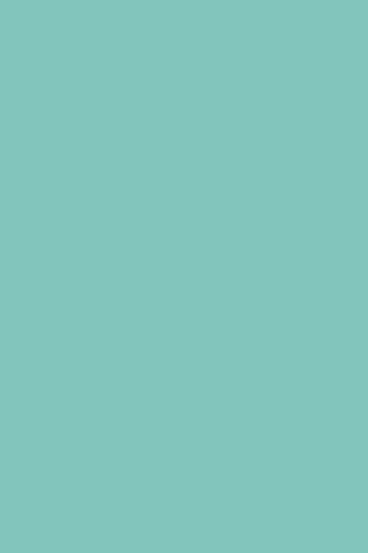 Nutricolor NC33 Light Menta - 10,5ml - Andreia Professional