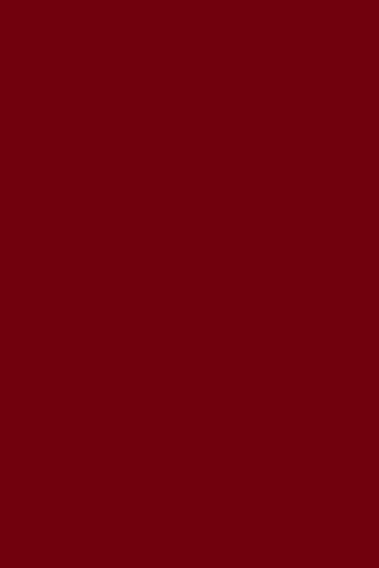 Halal Breathable Nail Polish B14 Bordeaux - 10,5ml - Andreia Professional