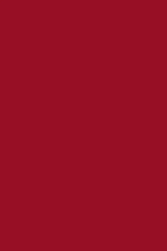 Nutricolor NC32 Bordeaux - 10,5ml - Andreia Professional