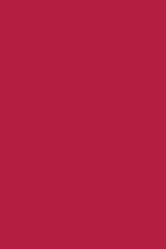 Nutricolor NC22 Rosa Cereja - 10,5ml - Andreia Professional