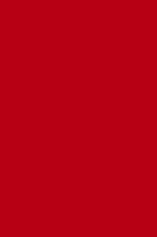Halal Breathable Nail Polish B6 Rouge - 10,5ml - Andreia Professional