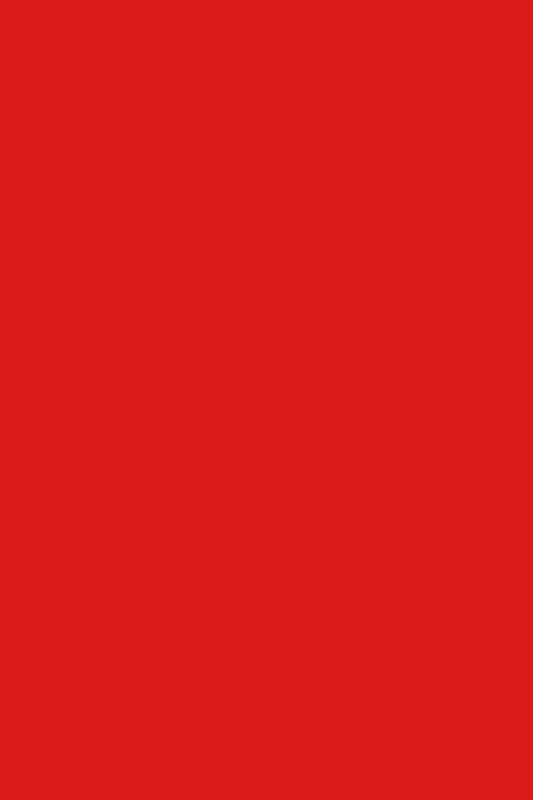 Nutricolor NC17 Vermelho Brilhante - 10,5ml - Andreia Professional