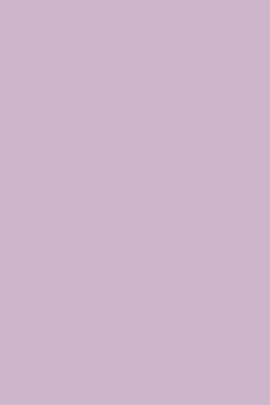 Nutricolor NC18 Lavanda - 10,5ml - Andreia Professional