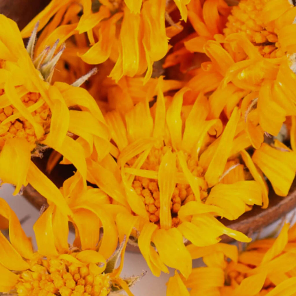 Huile de calendula BIO 50 ml - SOWÉ Botanic Lab