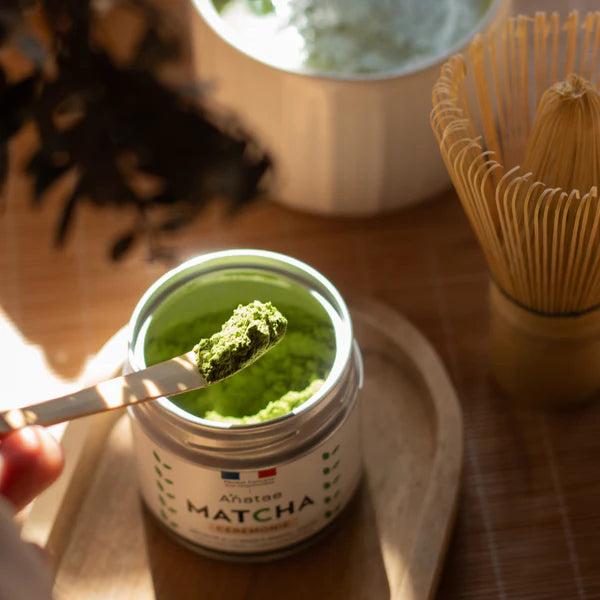 Chashaku - cuillère en bambou - Anatea