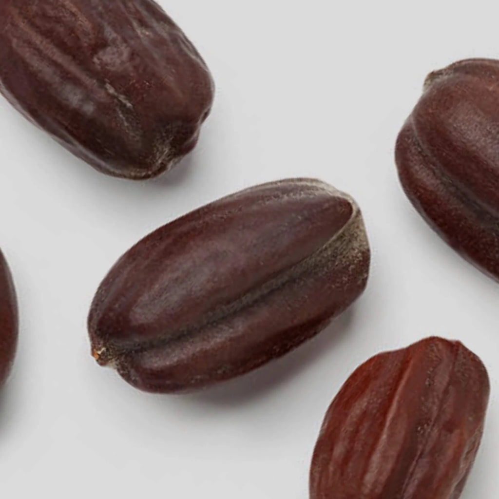 Huile de jojoba BIO 50 ml - SOWÉ Botanic Lab