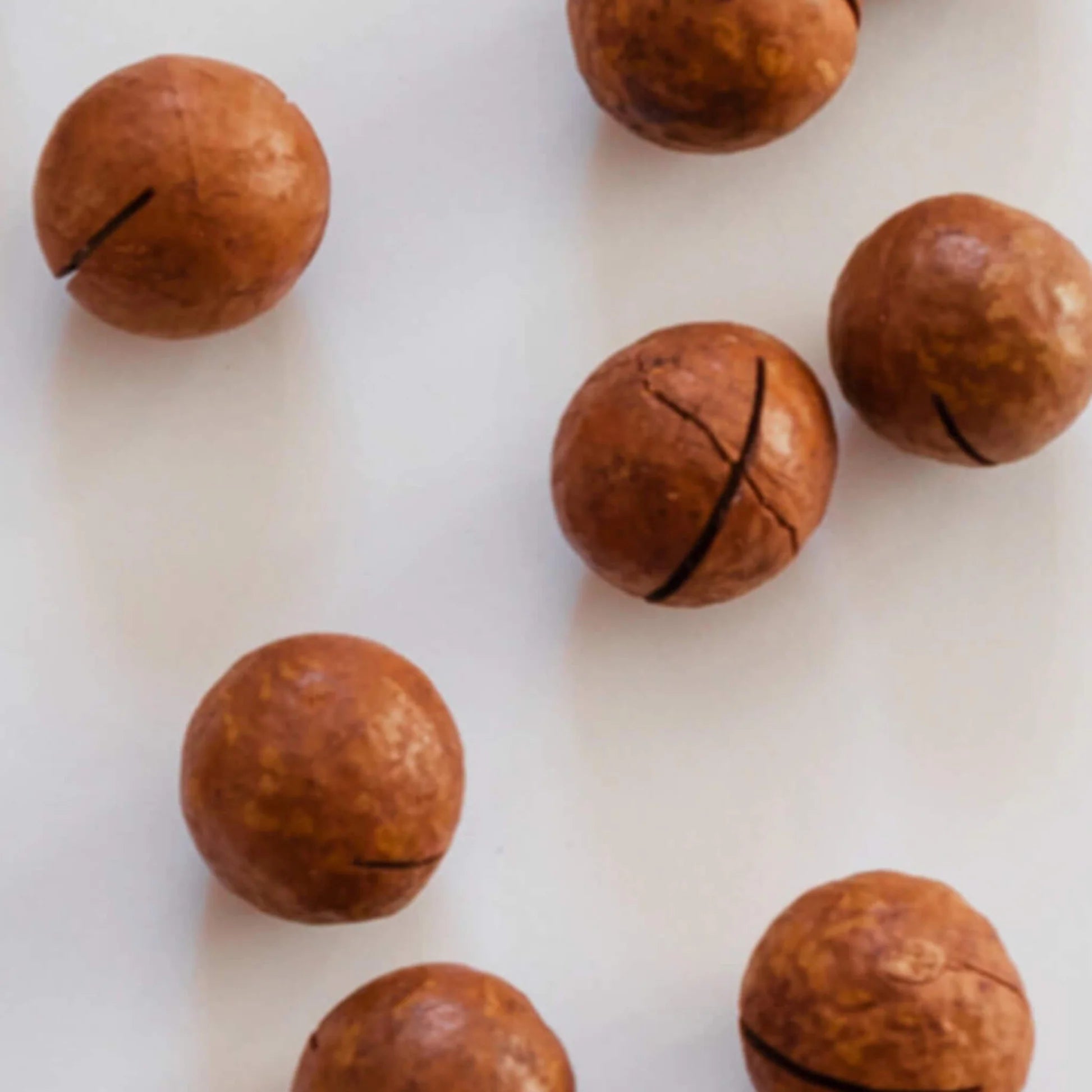 Huile de macadamia BIO 50 ml - SOWÉ Botanic Lab